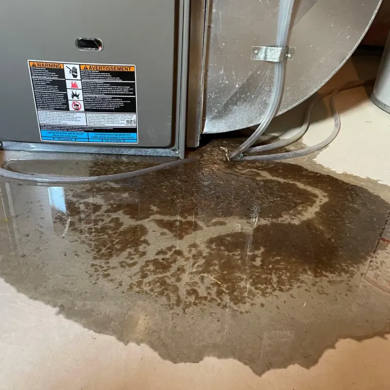 Appliance Leak Cleanup in Pine Mountain Club, CA